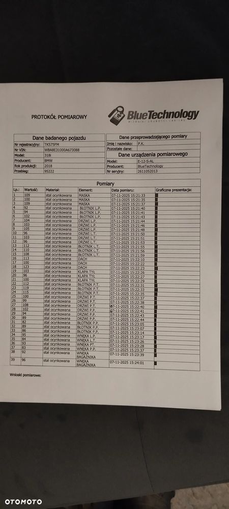 BMW Seria 3 318i - 39
