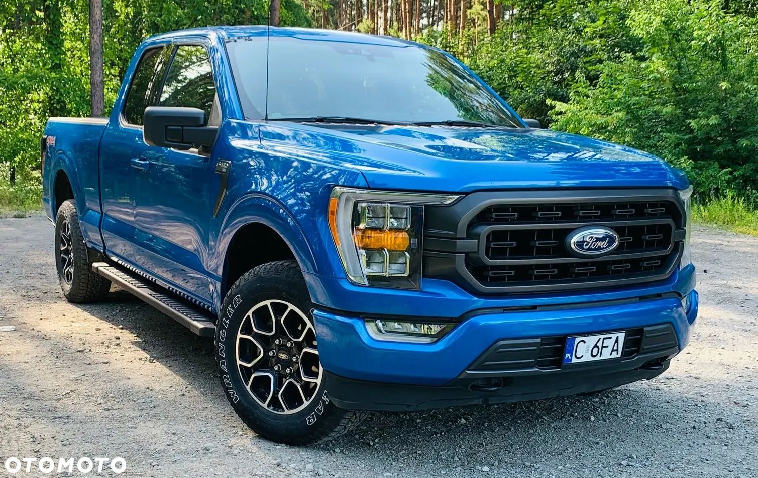 Ford F150 - 1