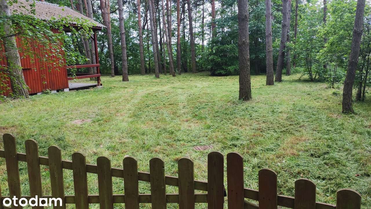 Działka rekreacyjna w miejscowości Połajewo nad jeziorem Gopło - Pełny obrazek: 3/14