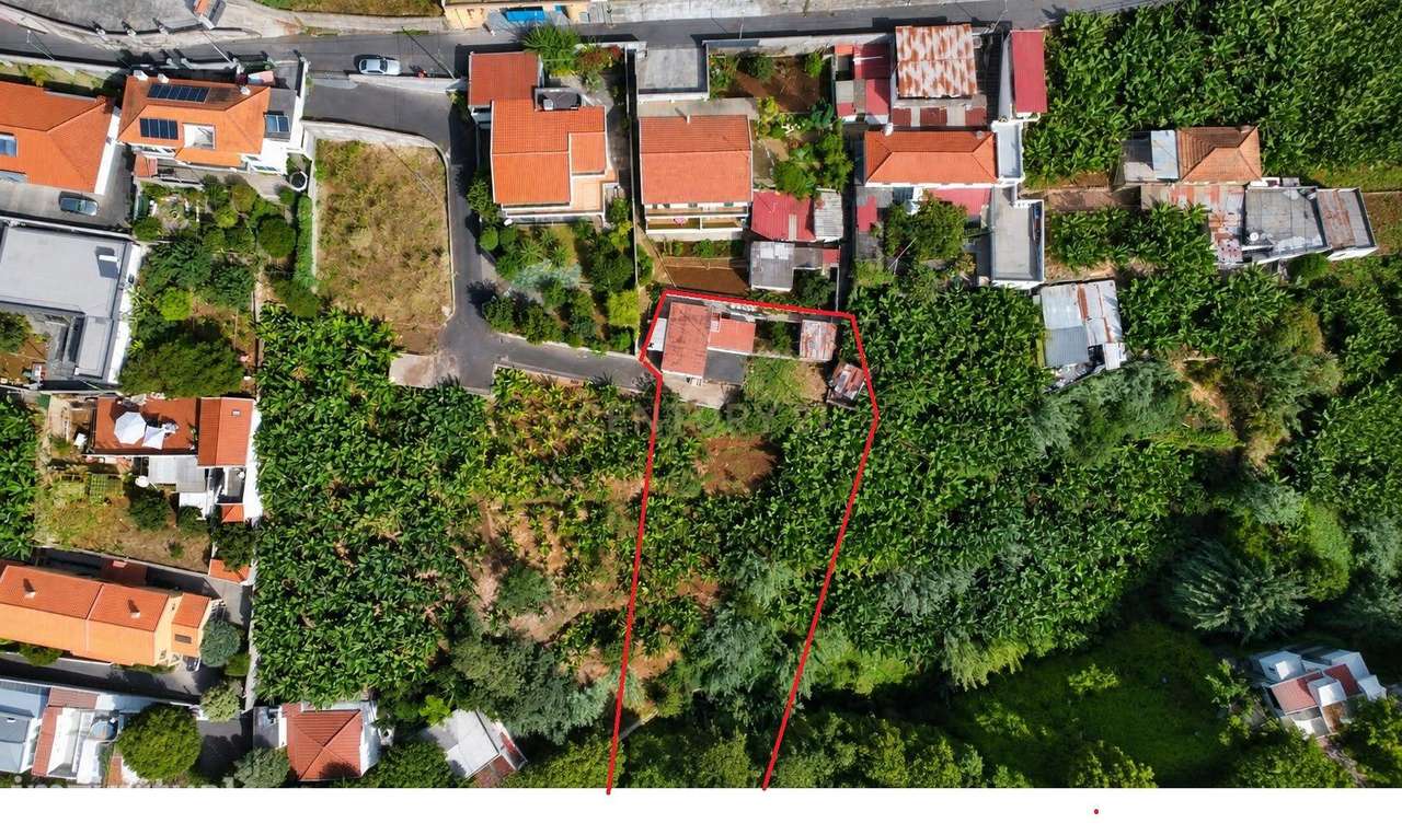 Terreno com Vista a Bahia do Funchal - Grande imagem: 4/8