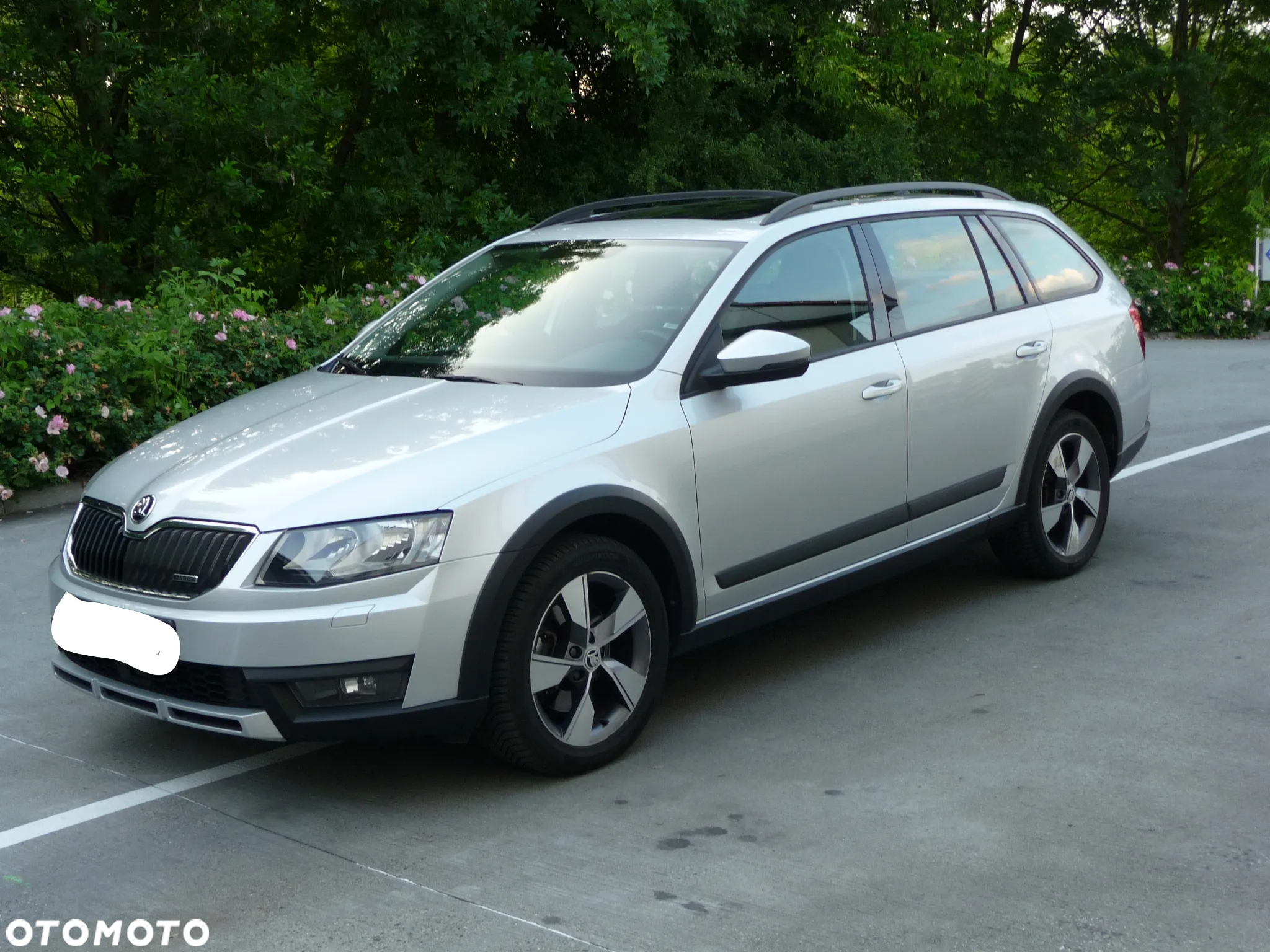 Skoda Octavia Scout 2.0 TDI 4x4 DSG - 2