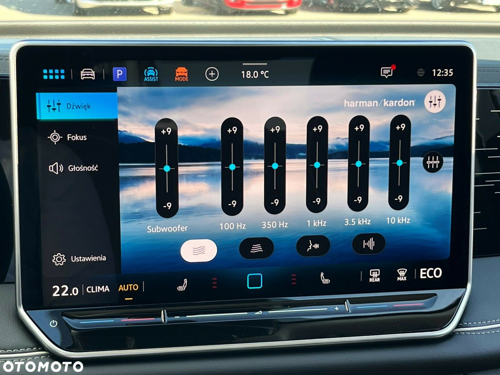 Volkswagen Tiguan - 13