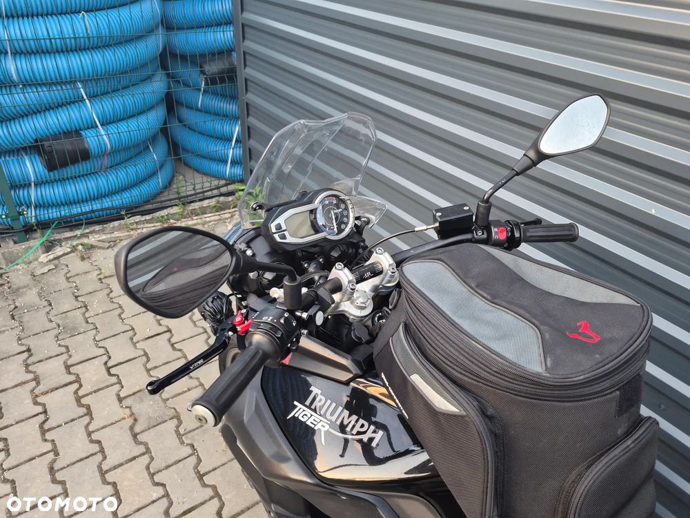 Triumph Tiger - 19