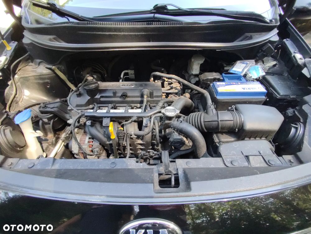 Kia Rio - 14