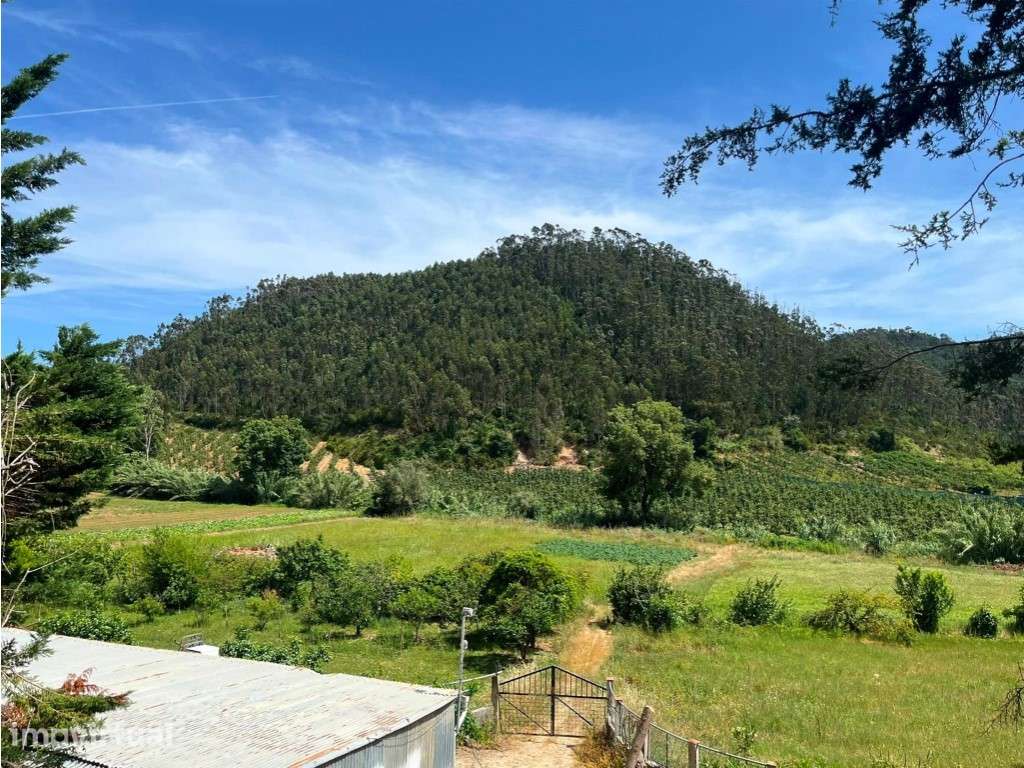 Terreno florestal contíguo | Mafra | Investimento - Grande imagem: 2/6