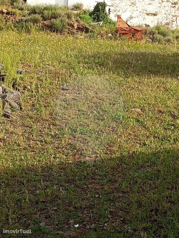 Moradia T2 para venda - Grande imagem: 3/3