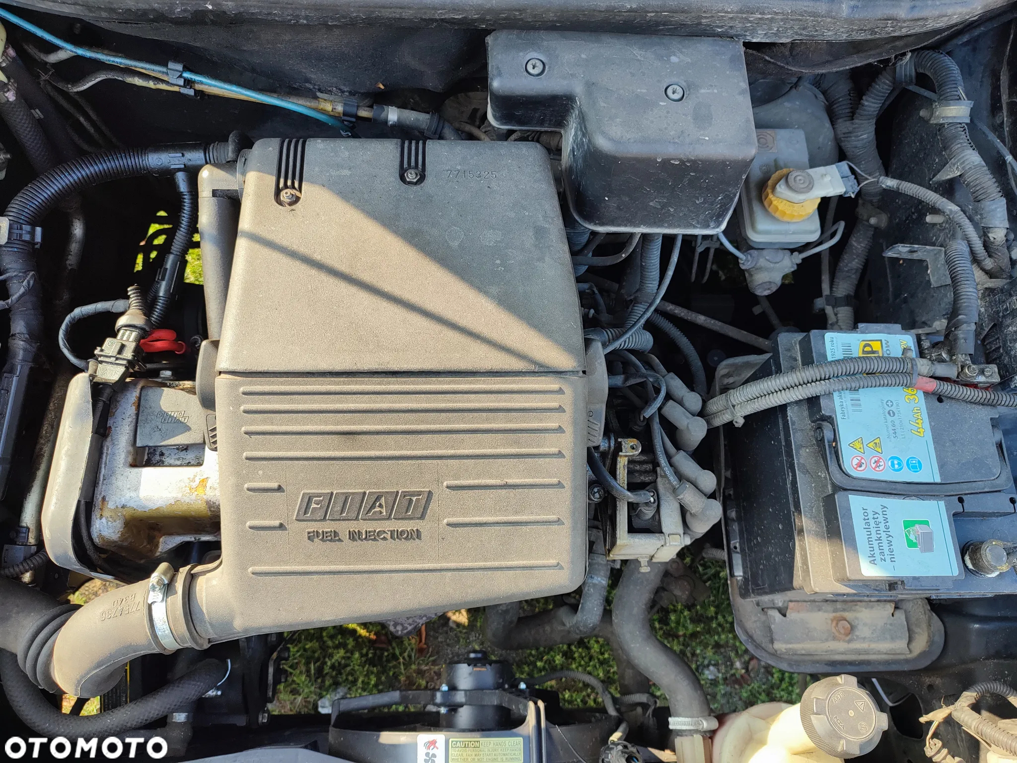 Fiat Punto - 11