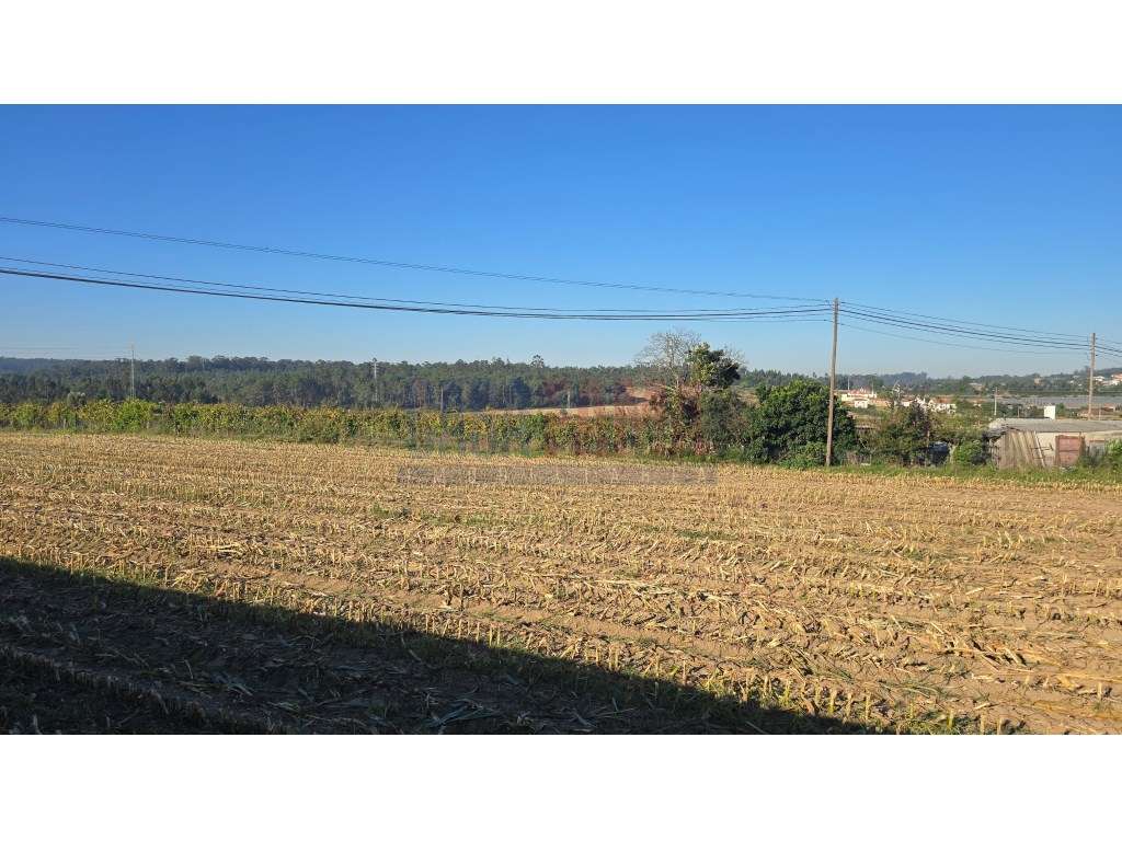 Terreno de Construção com 5.000 m² em Parada, Vila do Conde - Grande imagem: 4/13