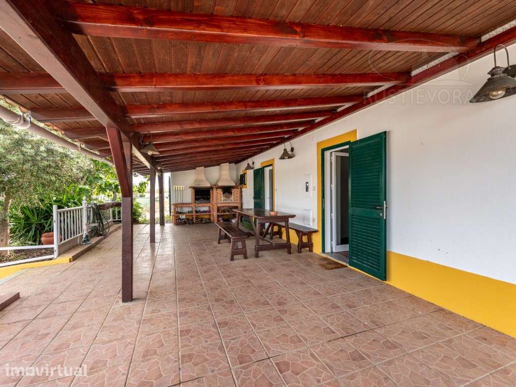 Quinta com 1 ha, com moradia T4 + 1 pronta a habitar, piscina e anexos - Grande imagem: 5/60