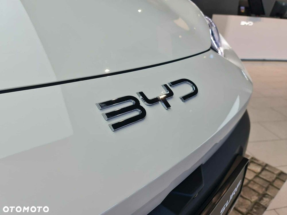 BYD Dolphin Surf - 9