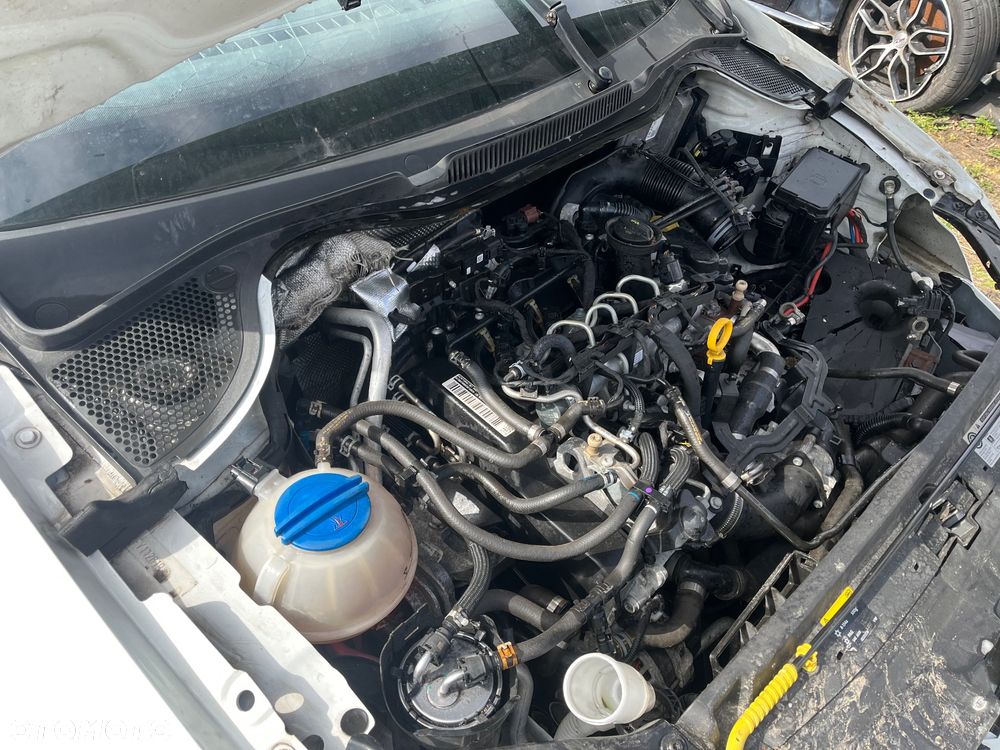 Volkswagen Polo 1.4 TDI BlueMotion - 19