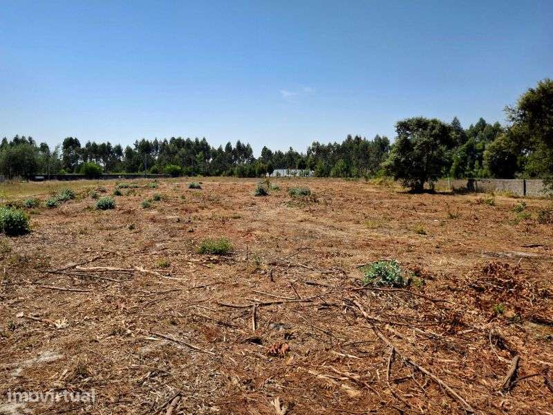 Terreno para venda em Mira