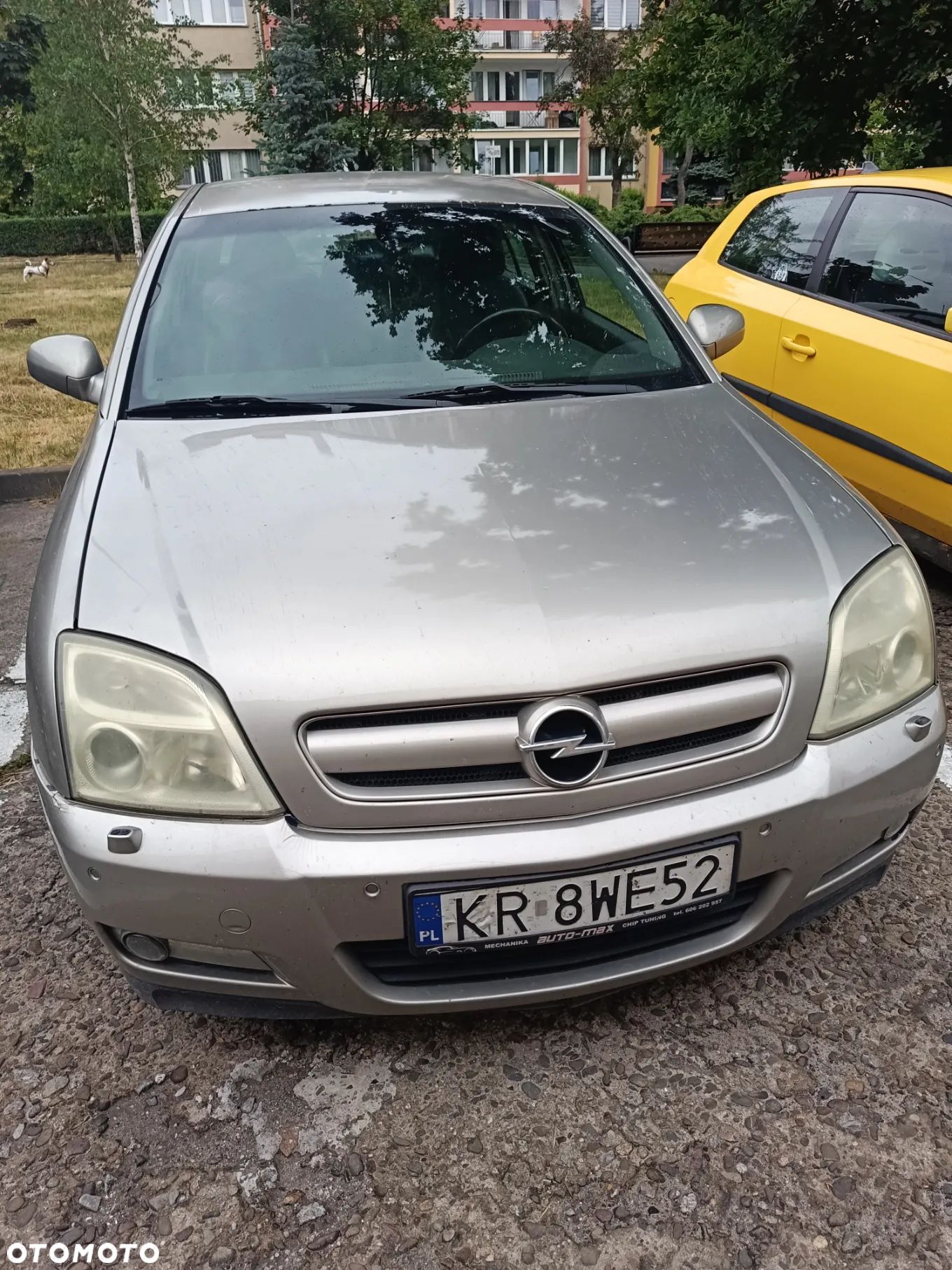 Opel Signum 3.2 Cosmo ActiveSelect - 1