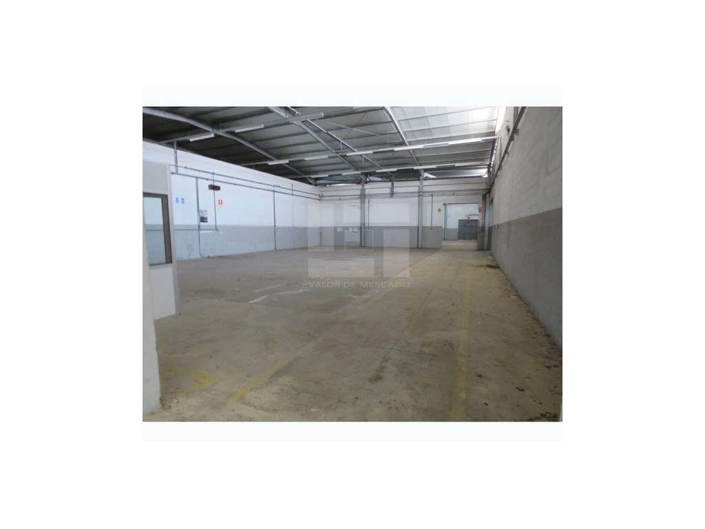 Armazém e Salvaterra de Magos-Muge - Grande imagem: 2/7