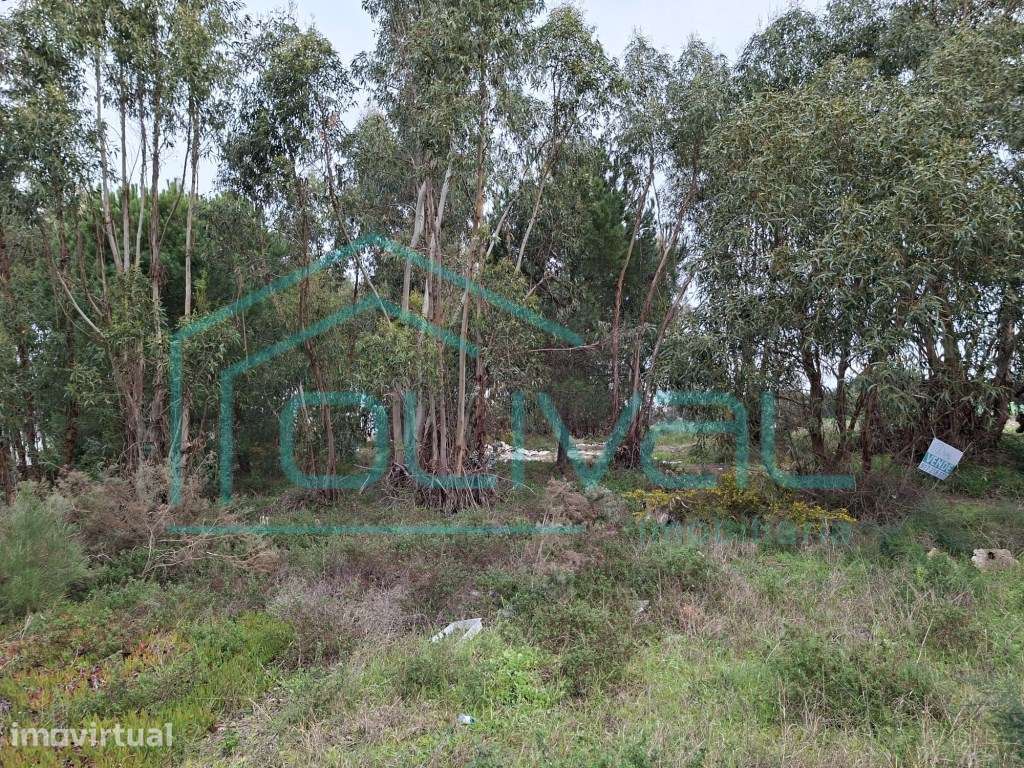 Lote Industrial em Samora Correia - Grande imagem: 3/11