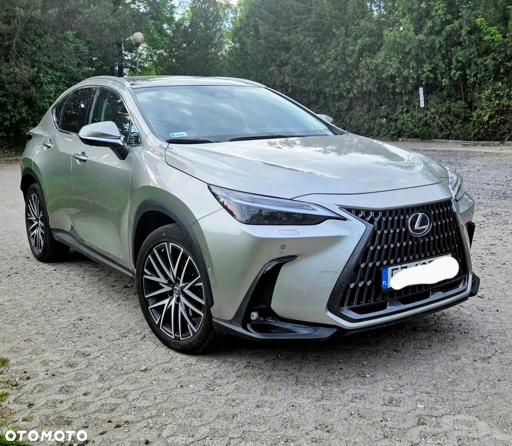Lexus NX 350h Omotenashi AWD - 1