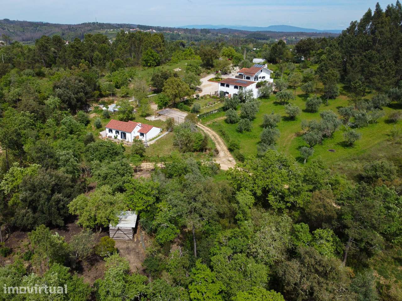 Quinta / Guest house - Grande imagem: 2/22