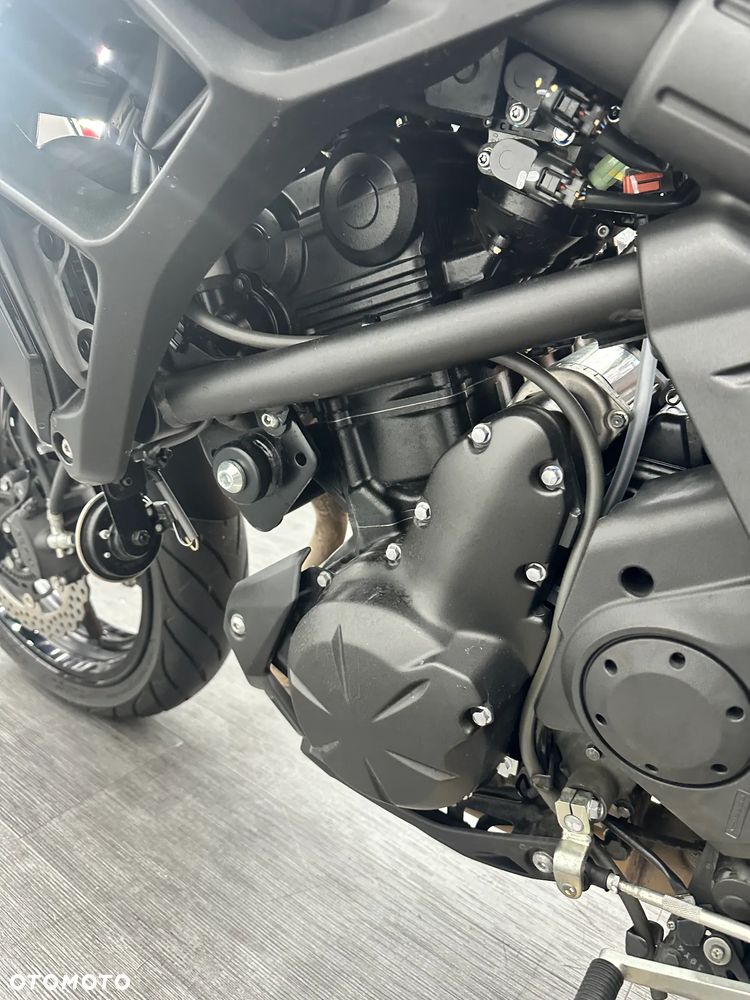 Kawasaki Versys 650 - 14