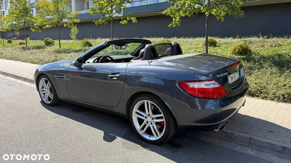 Mercedes-Benz SLK 250 CDI (BlueEFFICIENCY) 7G-TRONIC - 5