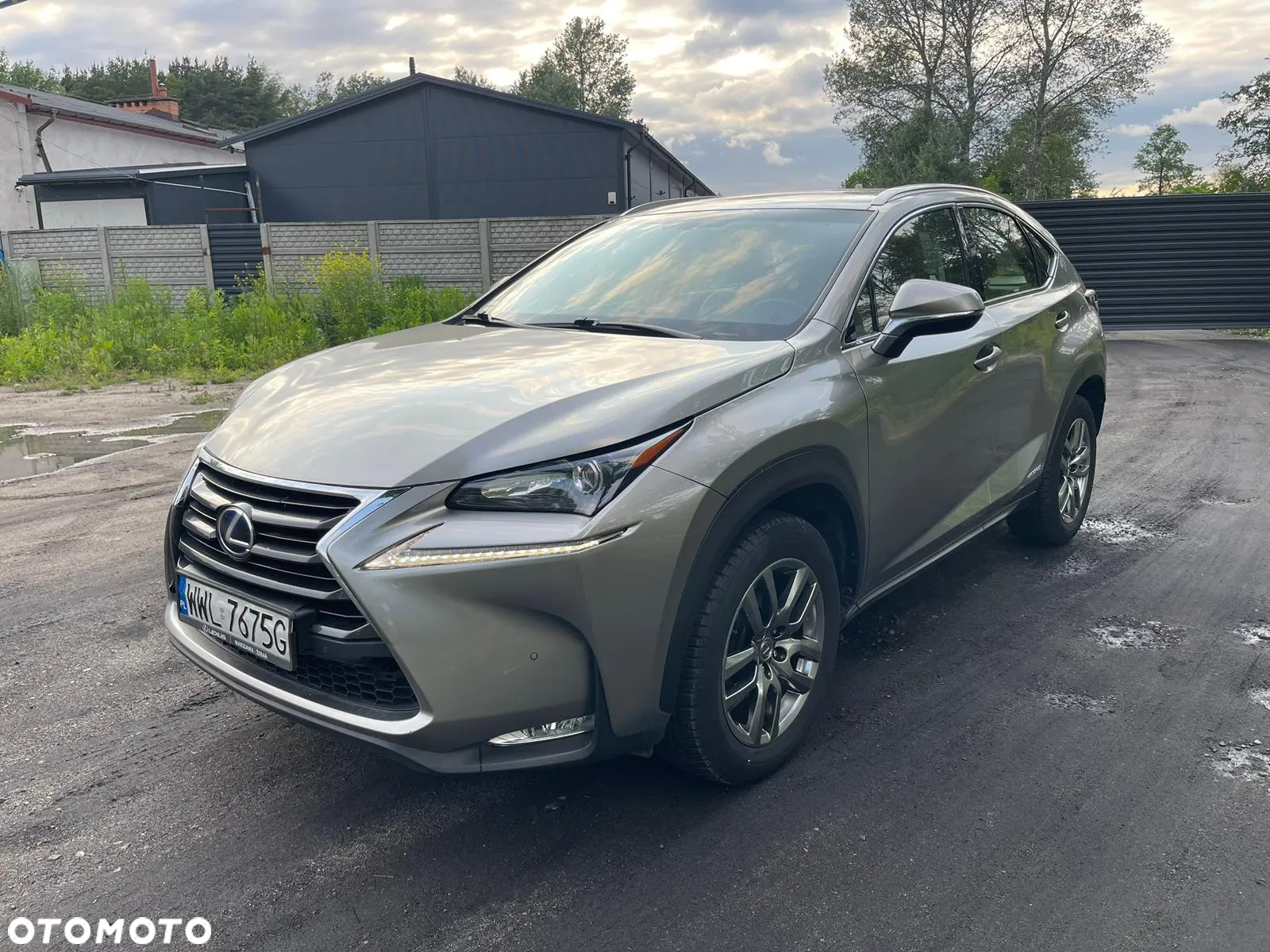 Lexus NX 300h Elite AWD - 4