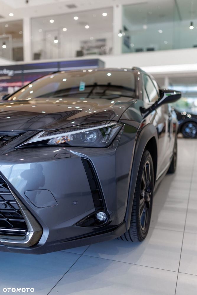 Lexus UX - 14
