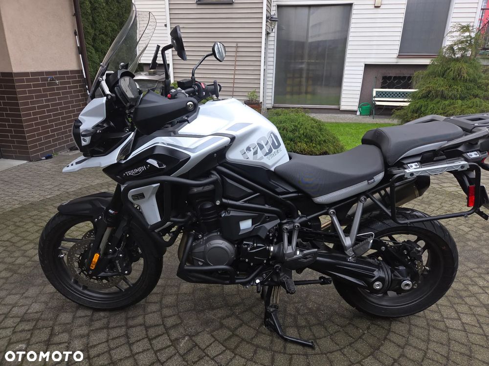 Triumph Tiger - 1