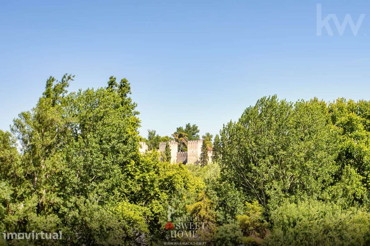 Herdade com 4,5 ha, Casa T6 c/piscina, garagem no centro Torres novas - Grande imagem: 3/60