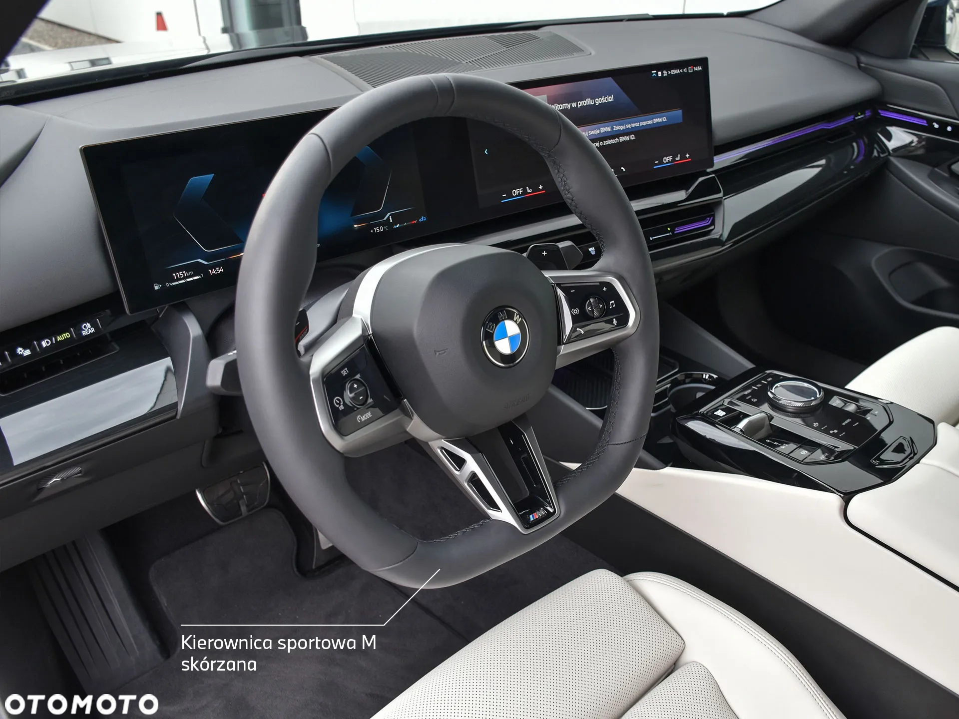 BMW Seria 5 - 19