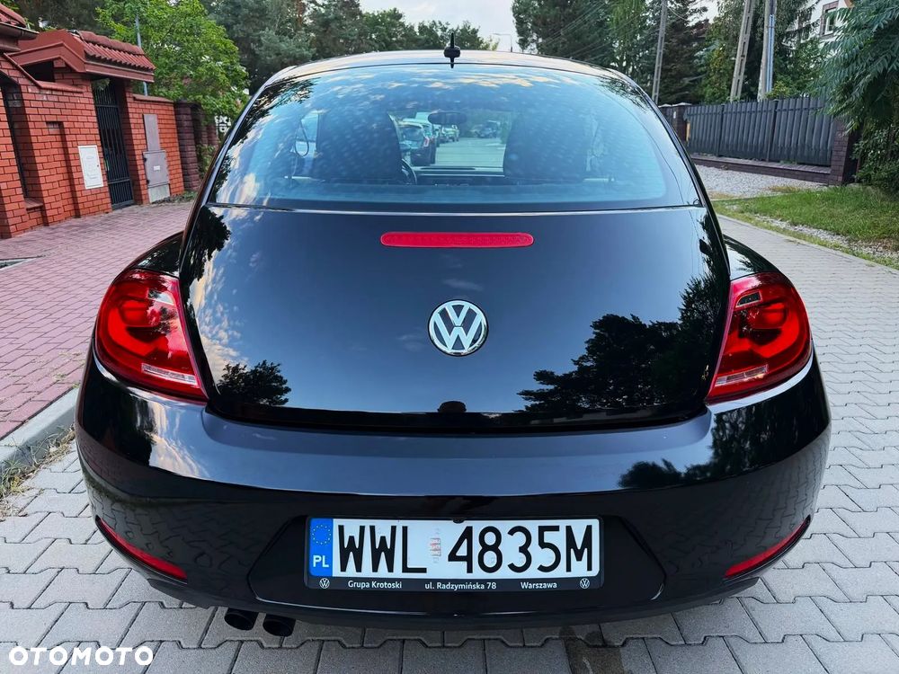 Volkswagen Beetle - 25