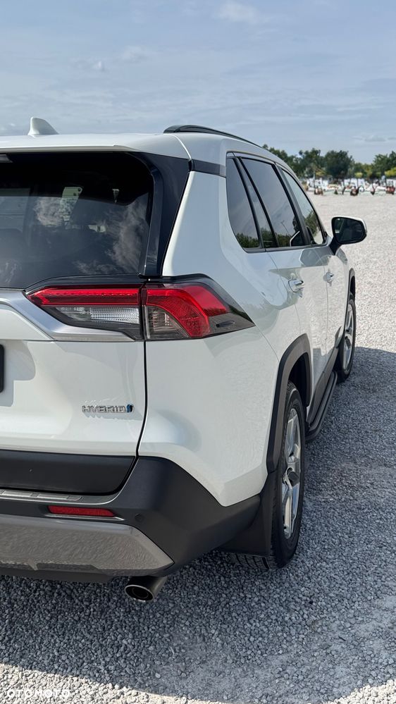 Toyota RAV4 2.5 Hybrid Executive 4x4 - 7