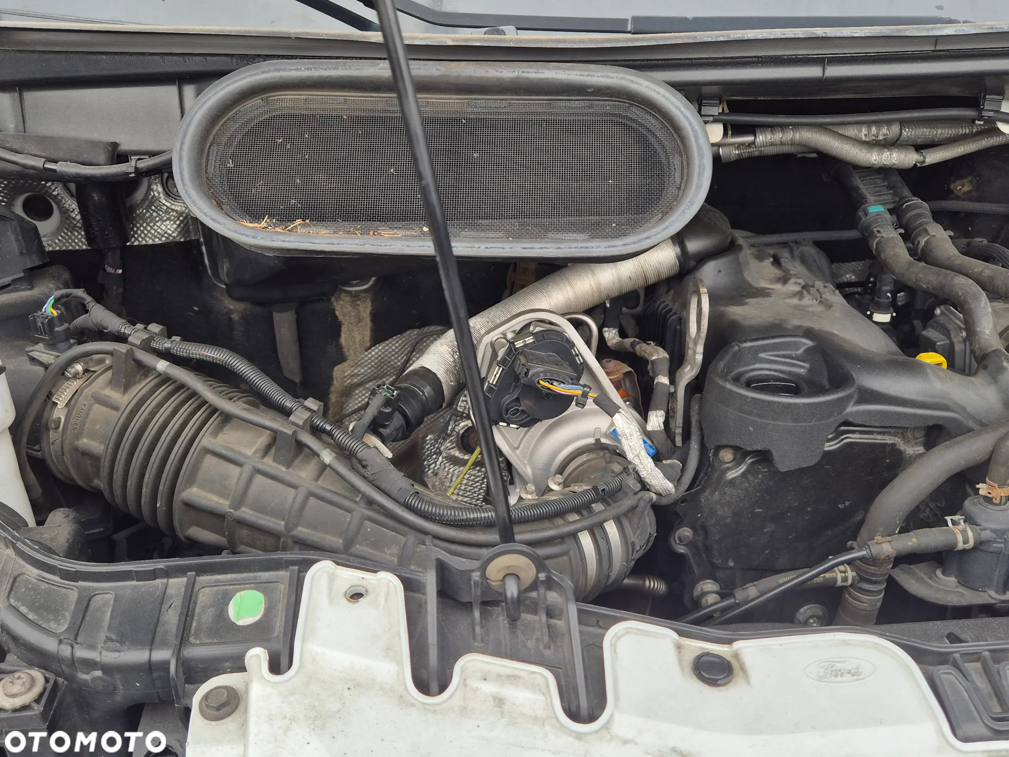 Ford TRANSIT - 18