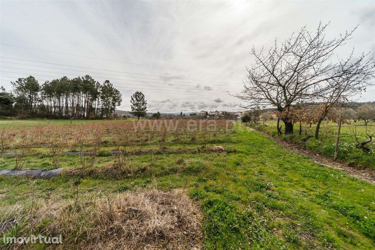Terreno Rústico / Covilhã, Orjais - Grande imagem: 3/18