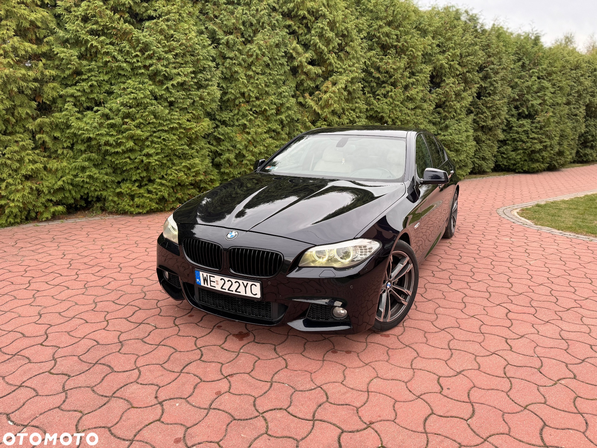 BMW Seria 5 - 2