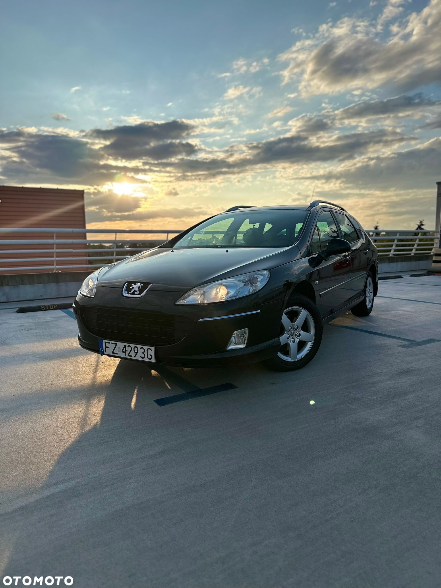 Peugeot 407 - 25