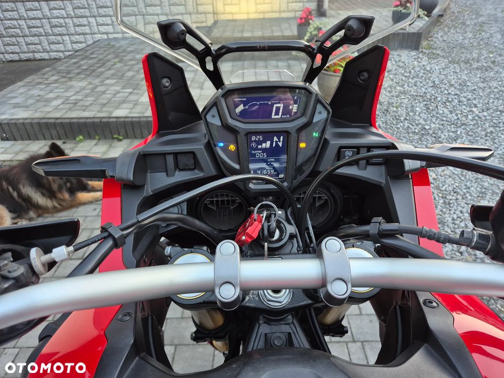 Honda CRF - 31