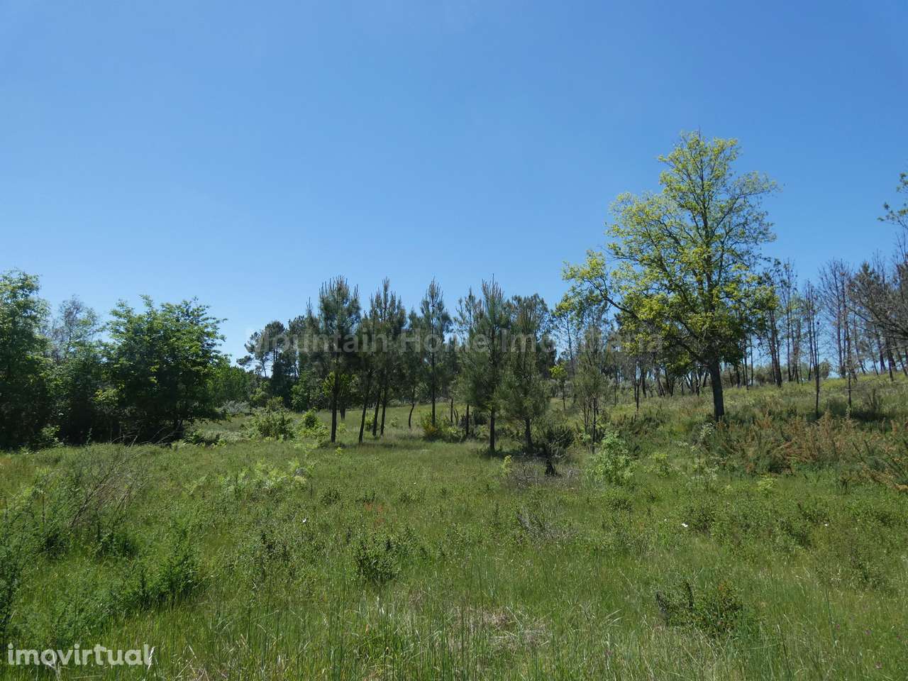 Terreno  Venda em Santiago,Seia - Grande imagem: 3/9