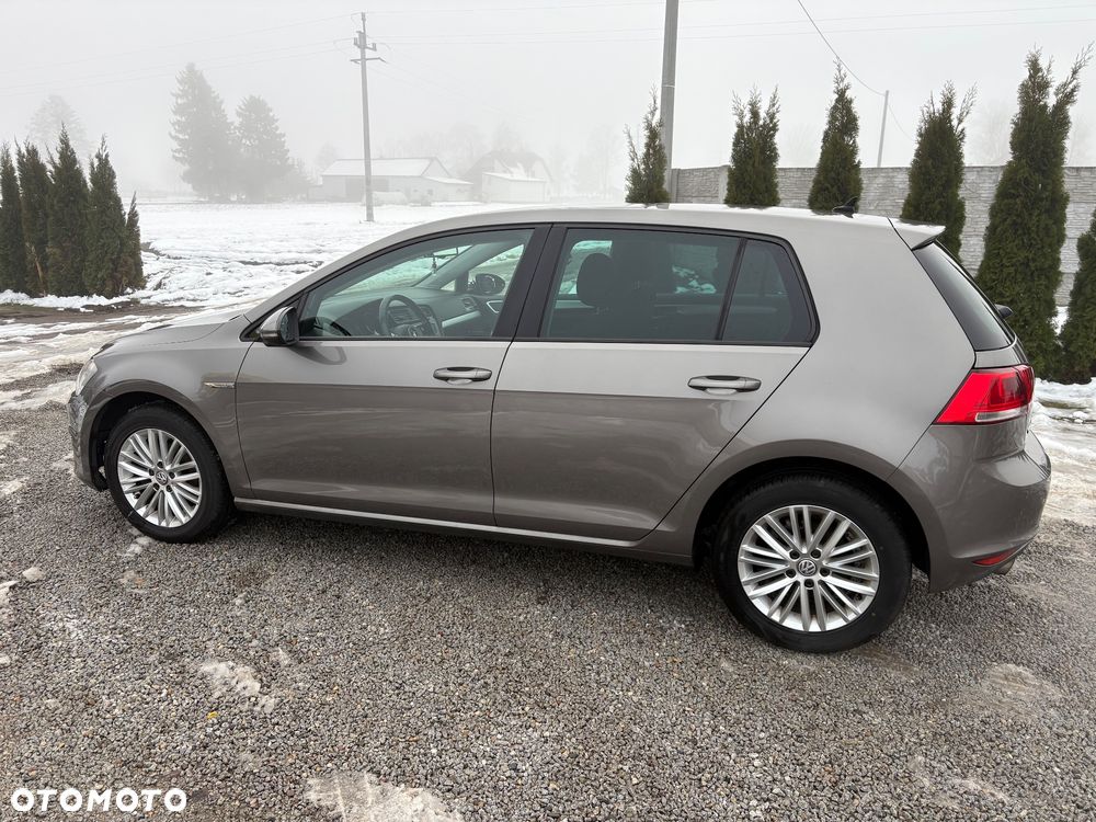 Volkswagen Golf 1.6 TDI BlueMotion Technology Cup - 4