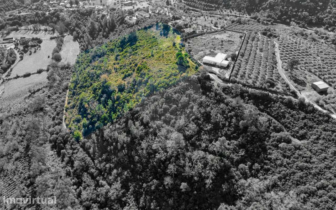 Terreno  para venda - Grande imagem: 2/26