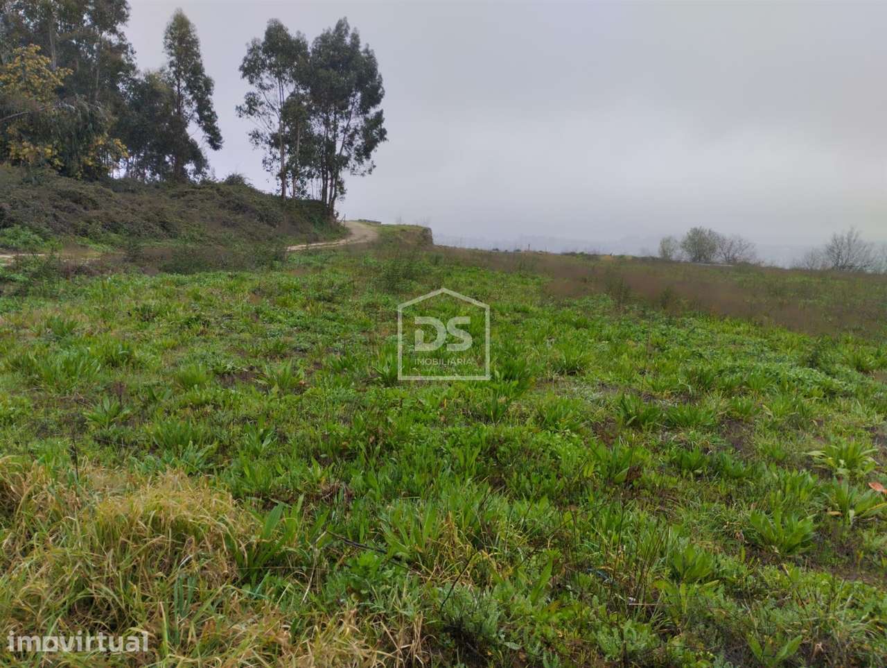 Terreno  Venda em Figueiró (Santiago e Santa Cristina),Amarante - Grande imagem: 3/17