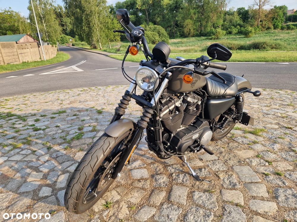 Harley-Davidson Sportster Iron 883 - 3