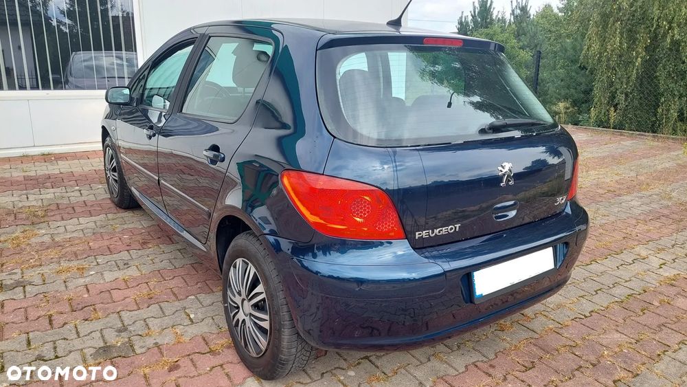 Peugeot 307 2007 photo 3