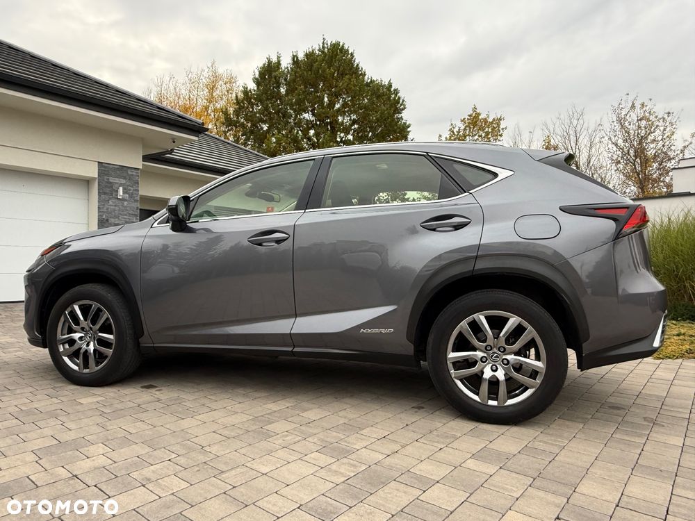 Lexus NX - 19
