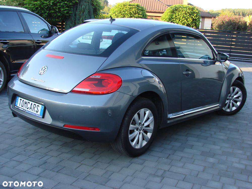 Volkswagen Beetle - 15