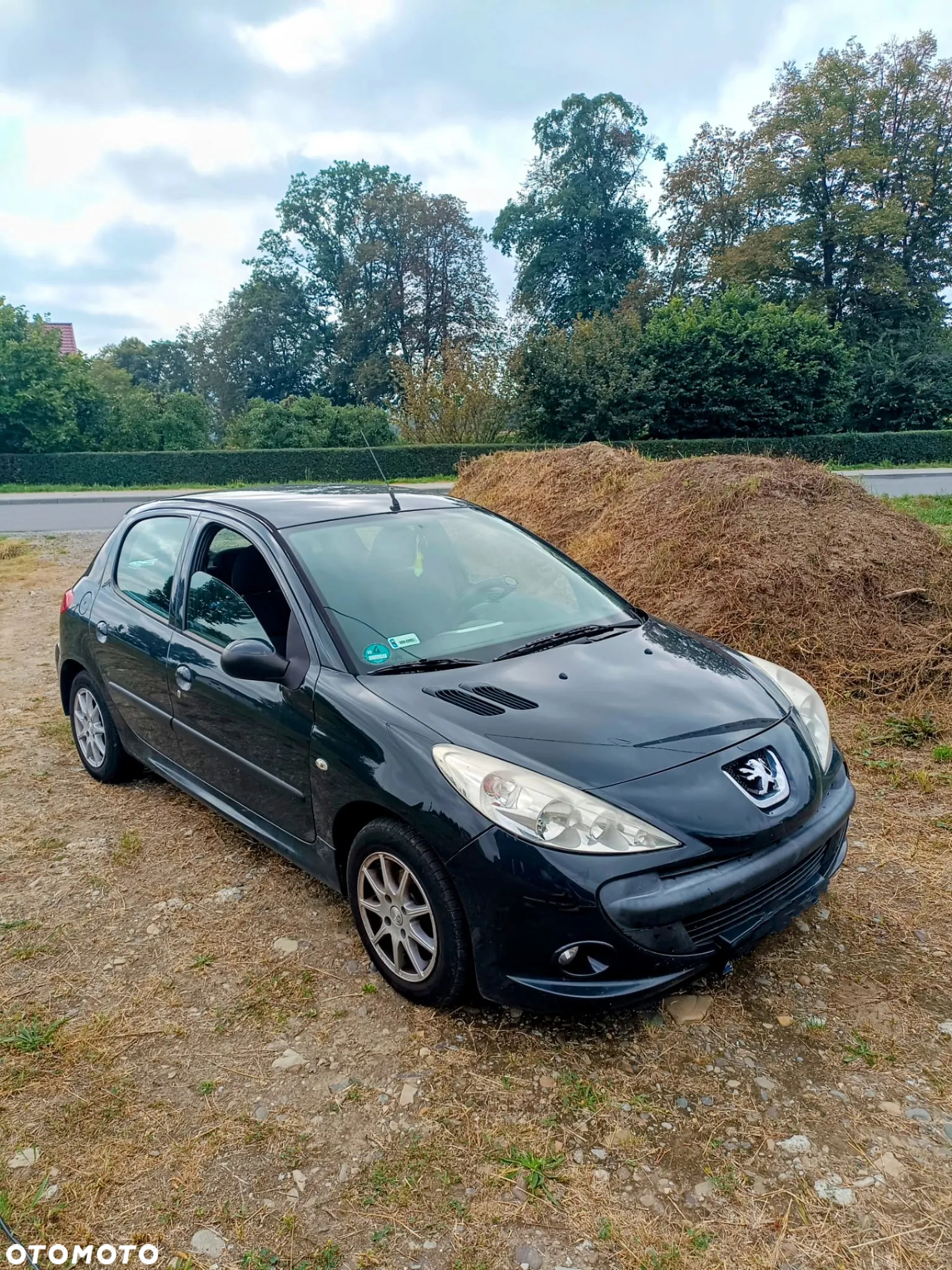 Peugeot 206 plus 206+ 60 - 2