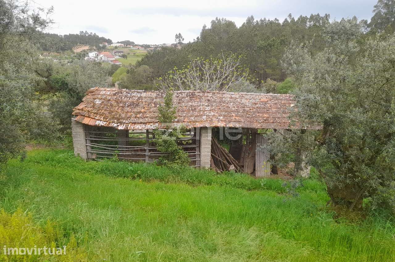 Terreno Rustico - Grande imagem: 3/25