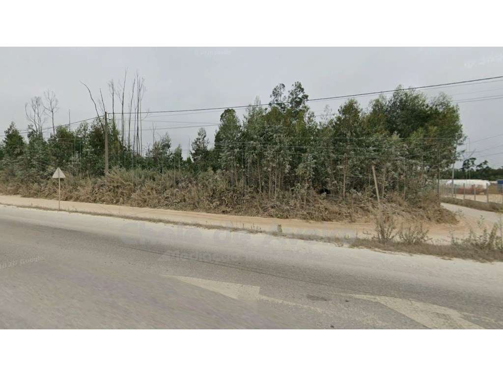 Terreno em Albergaria a Velha - Grande imagem: 5/8