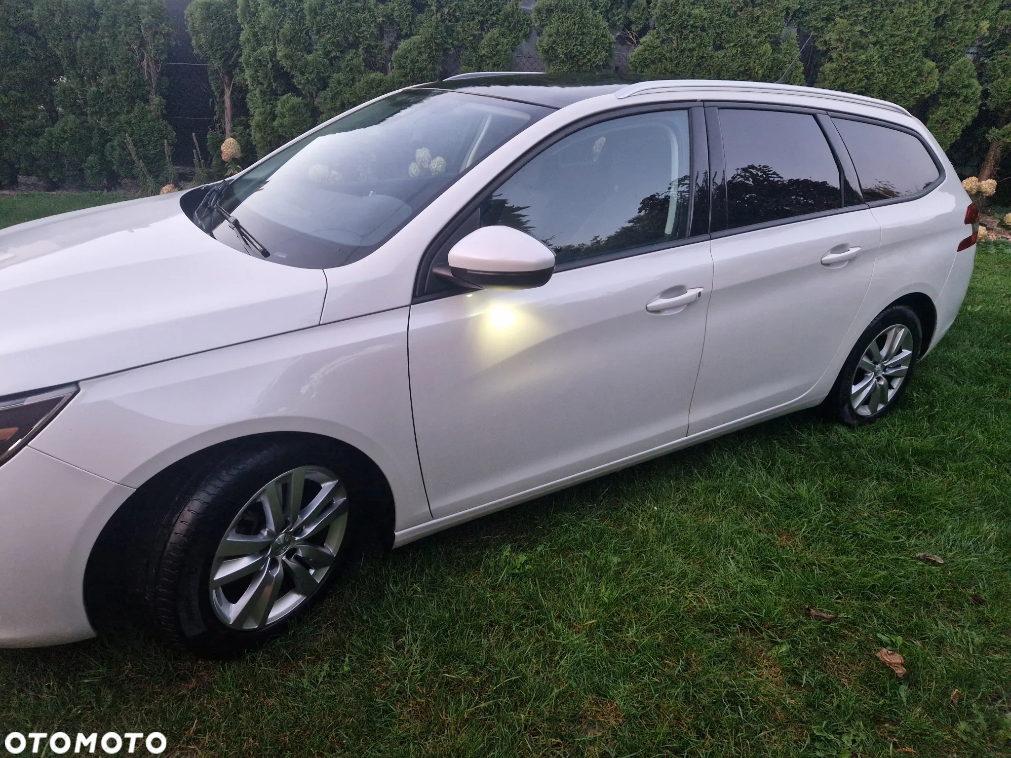 Peugeot 308 SW BlueHDi 120 Stop & Start Active - 19