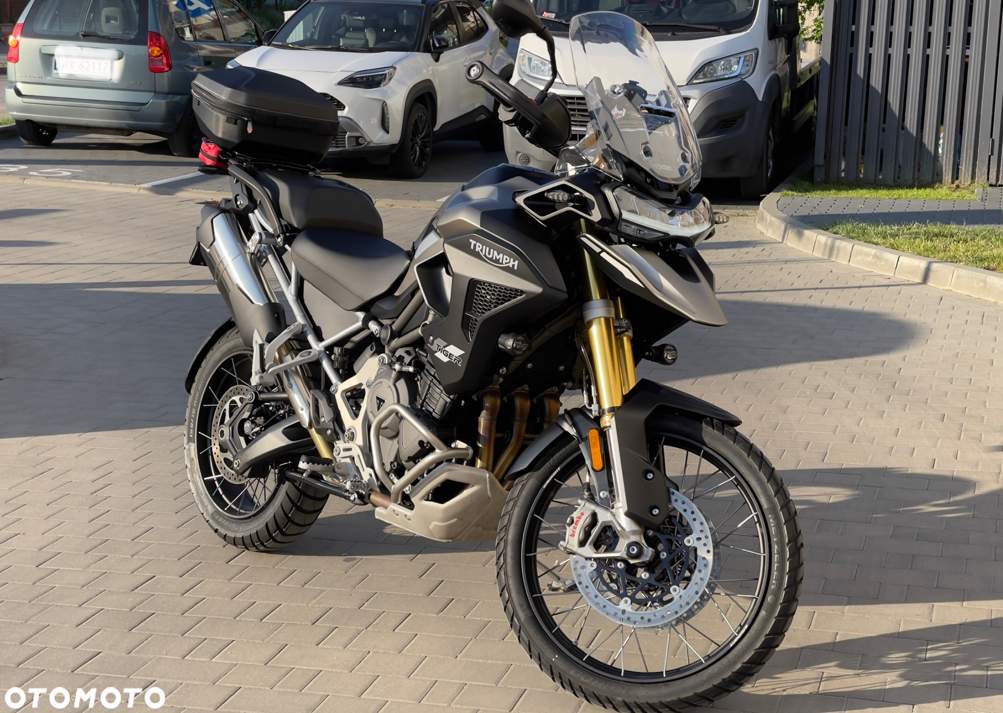 Triumph Tiger