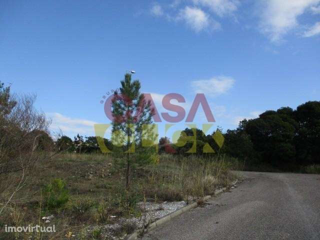 Loteamento  Venda em Abrantes (São Vicente e São João) e Alferrarede,A - Grande imagem: 4/16