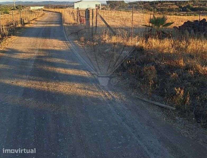 Vendo terreno rústico em Beja - Serpa - Grande imagem: 4/8